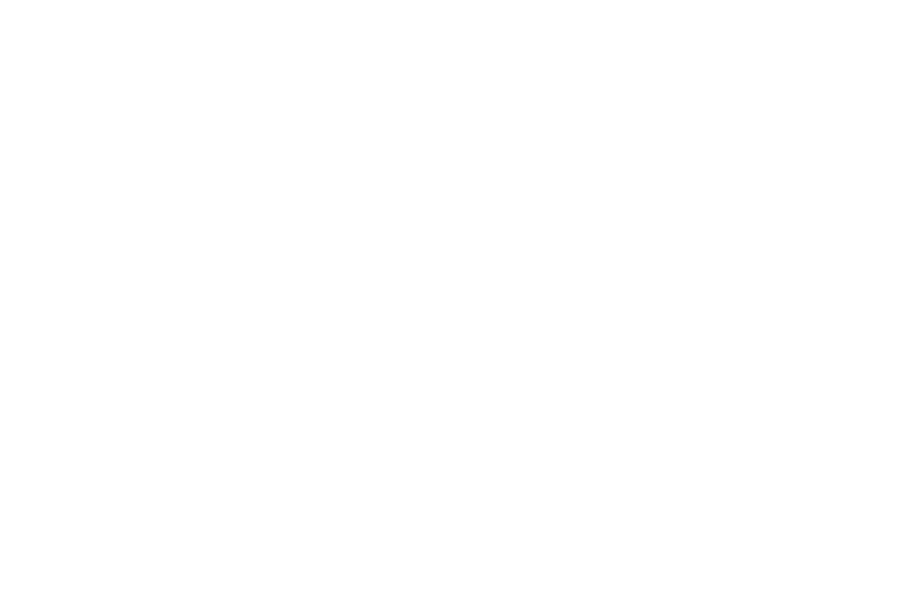 Mi Promesa - Wedding Planner